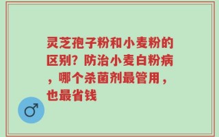 灵芝孢子粉和小麦粉的区别？防治小麦白粉病，哪个杀菌剂最管用，也最省钱
