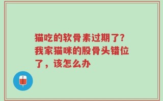 猫吃的软骨素过期了？我家猫咪的股骨头错位了，该怎么办