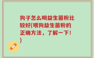 狗子怎么喝益生菌粉比较好(喂狗益生菌粉的正确方法，了解一下！)