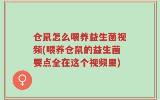 仓鼠怎么喂养益生菌视频(喂养仓鼠的益生菌要点全在这个视频里)