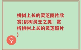 桃树上长的灵芝图片欣赏(桃树灵芝之美：赏析桃树上长的灵芝照片)