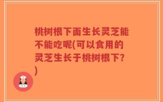桃树根下面生长灵芝能不能吃呢(可以食用的灵芝生长于桃树根下？)