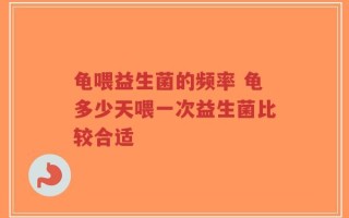 龟喂益生菌的频率 龟多少天喂一次益生菌比较合适