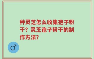 种灵芝怎么收集孢子粉干？灵芝孢子粉干的制作方法？