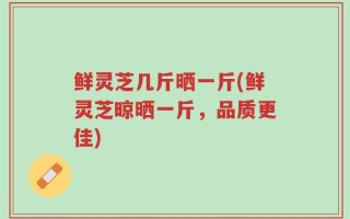 鲜灵芝几斤晒一斤(鲜灵芝晾晒一斤，品质更佳)