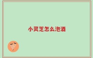 小灵芝怎么泡酒