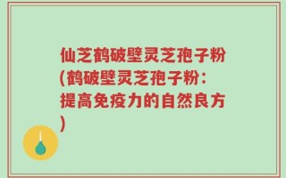 仙芝鹤破壁灵芝孢子粉(鹤破壁灵芝孢子粉：提高免疫力的自然良方)