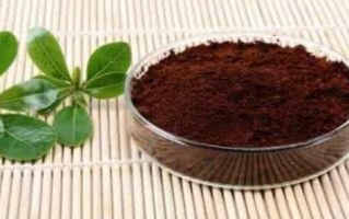 灵芝孢子粉的禁忌你知道多少？