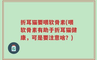 折耳猫要喂软骨素(喂软骨素有助于折耳猫健康，可是要注意啥？)