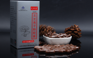 灵芝孢子粉有效成分含量受哪些因素影响？