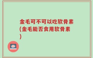 金毛可不可以吃软骨素(金毛能否食用软骨素)