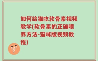 如何给猫吃软骨素视频教学(软骨素的正确喂养方法-猫咪版视频教程)