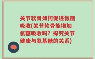 关节软骨如何促进氨糖吸收(关节软骨能增加氨糖吸收吗？探究关节健康与氨基糖的关系)