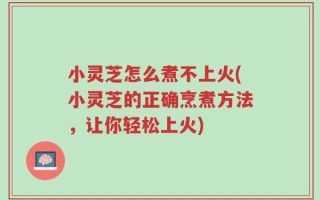 小灵芝怎么煮不上火(小灵芝的正确烹煮方法，让你轻松上火)
