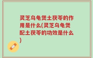 灵芝乌龟煲土茯苓的作用是什么(灵芝乌龟煲配土茯苓的功效是什么)