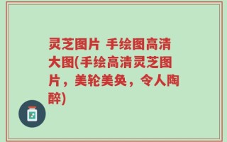 灵芝图片 手绘图高清大图(手绘高清灵芝图片，美轮美奂，令人陶醉)