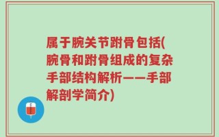 属于腕关节跗骨包括(腕骨和跗骨组成的复杂手部结构解析——手部解剖学简介)