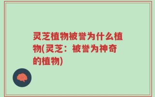 灵芝植物被誉为什么植物(灵芝：被誉为神奇的植物)