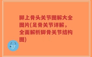脚上骨头关节图解大全图片(足骨关节详解，全面解析脚骨关节结构图)