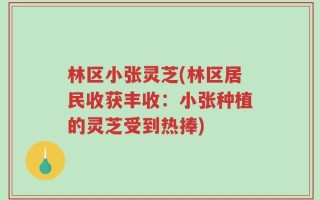 林区小张灵芝(林区居民收获丰收：小张种植的灵芝受到热捧)