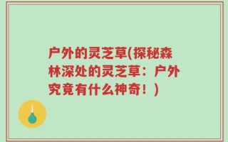 户外的灵芝草(探秘森林深处的灵芝草：户外究竟有什么神奇！)