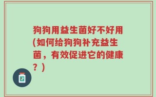 狗狗用益生菌好不好用(如何给狗狗补充益生菌，有效促进它的健康？)