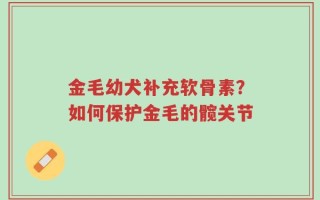金毛幼犬补充软骨素？如何保护金毛的髋关节