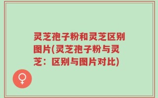灵芝孢子粉和灵芝区别图片(灵芝孢子粉与灵芝：区别与图片对比)