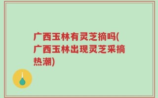 广西玉林有灵芝摘吗(广西玉林出现灵芝采摘热潮)