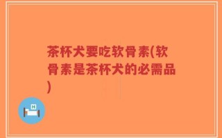 茶杯犬要吃软骨素(软骨素是茶杯犬的必需品)