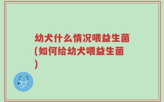 幼犬什么情况喂益生菌(如何给幼犬喂益生菌)
