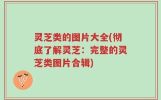 灵芝类的图片大全(彻底了解灵芝：完整的灵芝类图片合辑)