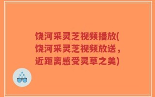 饶河采灵芝视频播放(饶河采灵芝视频放送，近距离感受灵草之美)