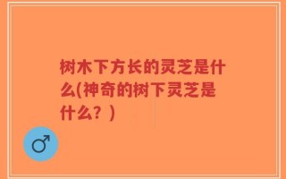 树木下方长的灵芝是什么(神奇的树下灵芝是什么？)