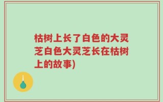 枯树上长了白色的大灵芝白色大灵芝长在枯树上的故事)