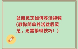 盆栽灵芝如何养活视频(教你简单养活盆栽灵芝，无需繁琐技巧！)