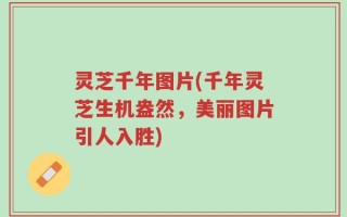灵芝千年图片(千年灵芝生机盎然，美丽图片引人入胜)