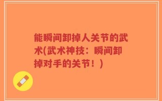 能瞬间卸掉人关节的武术(武术神技：瞬间卸掉对手的关节！)