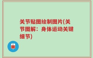 关节贴图绘制图片(关节图解：身体运动关键细节)