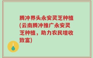 腾冲界头永安灵芝种植(云南腾冲推广永安灵芝种植，助力农民增收致富)