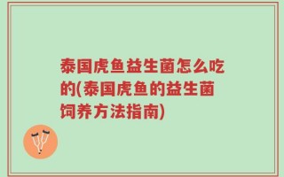 泰国虎鱼益生菌怎么吃的(泰国虎鱼的益生菌饲养方法指南)