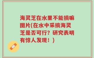 海灵芝在水里不能摘嘛图片(在水中采摘海灵芝是否可行？研究表明有惊人发现！)