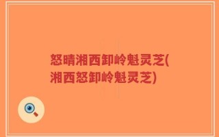 怒晴湘西卸岭魁灵芝(湘西怒卸岭魁灵芝)