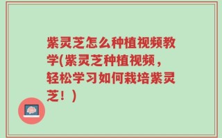 紫灵芝怎么种植视频教学(紫灵芝种植视频，轻松学习如何栽培紫灵芝！)