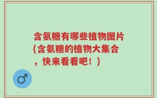 含氨糖有哪些植物图片(含氨糖的植物大集合，快来看看吧！)