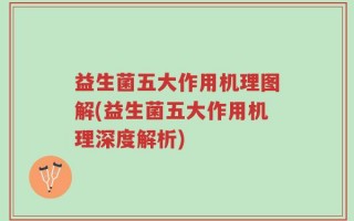 益生菌五大作用机理图解(益生菌五大作用机理深度解析)