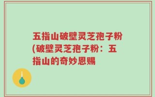 五指山破壁灵芝孢子粉(破壁灵芝孢子粉：五指山的奇妙恩赐