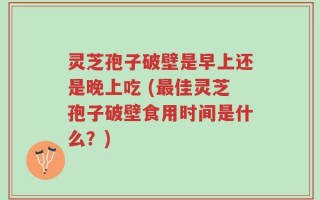 灵芝孢子破壁是早上还是晚上吃 (最佳灵芝孢子破壁食用时间是什么？)