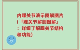 内踝关节演示图解图片(「踝关节解剖图解」：详细了解踝关节结构和功能)
