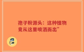 孢子粉源头：这种植物竟从这里喷洒而出”